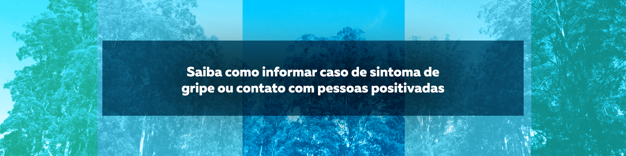 Saiba como informar caso de sintoma de gripe ou contato com pessoas positivadas